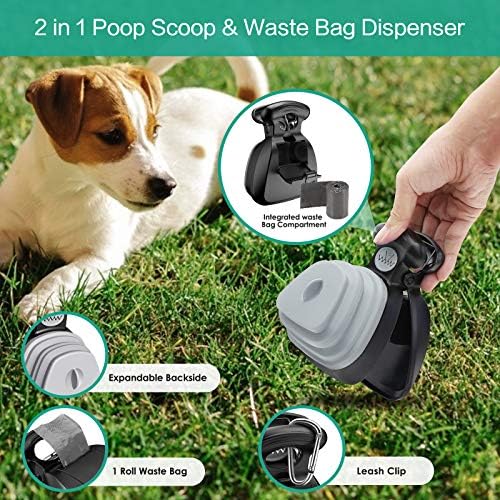 Dog walk, dog poop, dog stool, dog pooper scooper, dog poop taker, poop sucker,dog parents, dog owners, poop taker, dog waste, dog walks