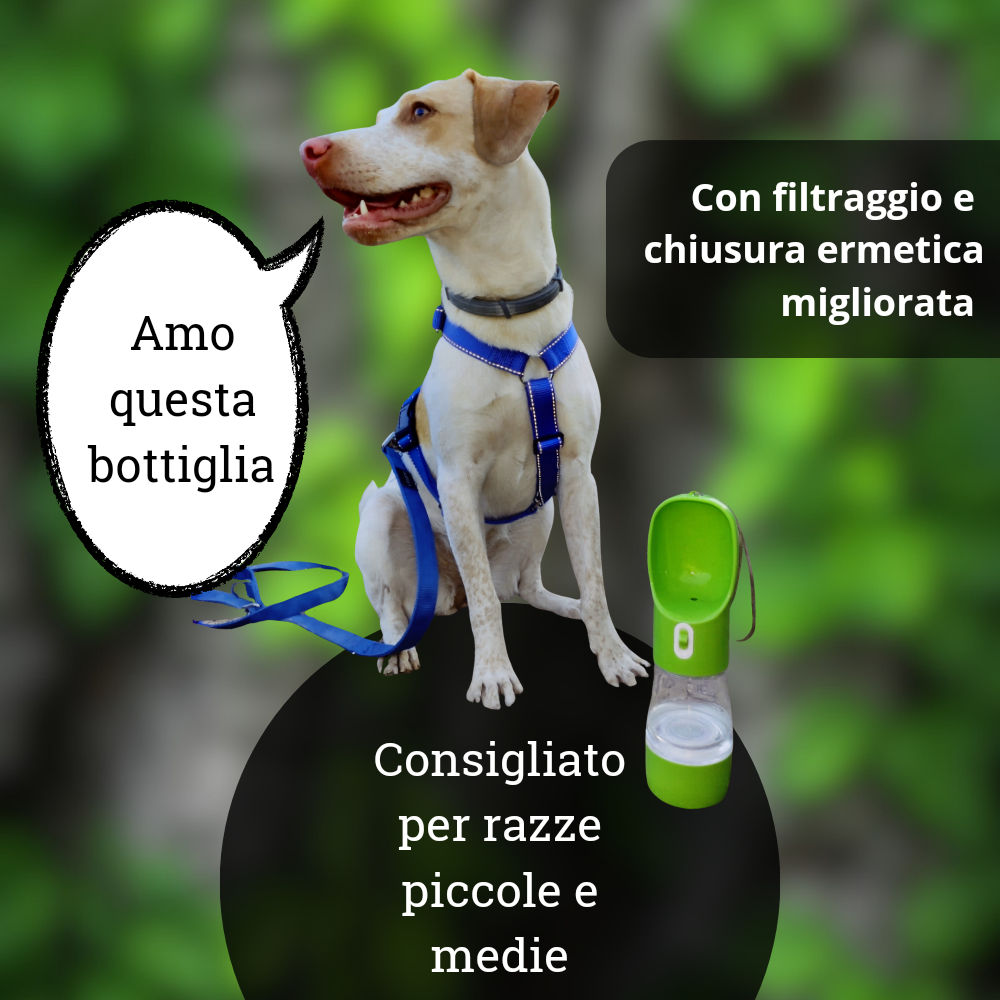 Bundle Premium Bottiglia d'acqua per cani™ 